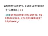 人教版九年级化学下册第十单元单元易错专训课件
