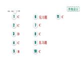 人教版九年级化学下册第十一单元单元易错专训课件