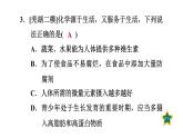 人教版九年级化学下册第十二单元单元易错专训课件