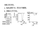 人教版九年级化学下册第十单元中考专训十三常见酸、碱的性质及其用途的探究课件