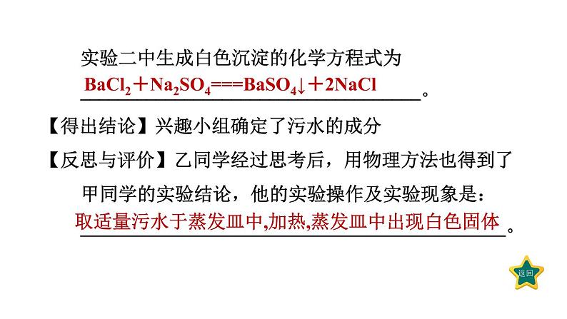 人教版九年级化学下册第十一单元中考专训十四与盐有关的探究课件第6页