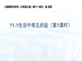 11.1生活中常见的盐（第1课时）课件九年级化学人教版下册