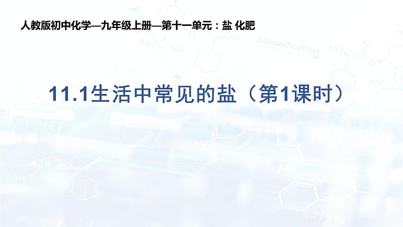 11.1生活中常见的盐（第1课时）课件九年级化学人教版下册第1页