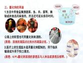 11.1生活中常见的盐（第1课时）课件九年级化学人教版下册