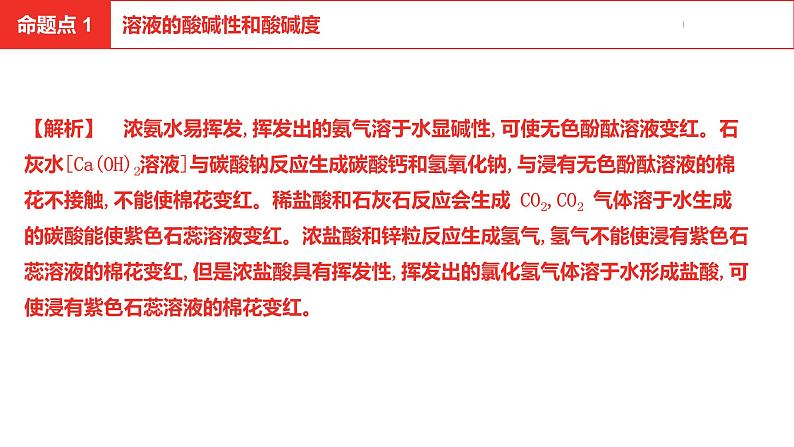 中考总复习化学（安徽地区）第十单元酸和碱课件05