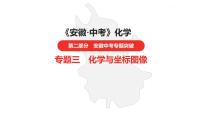 中考总复习化学（安徽地区）专题三化学与坐标图像课件