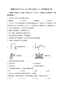 河北省邯郸市丛台区2022-2023学年九年级（上）化学期末复习卷【含答案及详细解析】