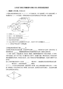 九年级下册化学推断题专项练习卷2附答案强烈推荐学生版