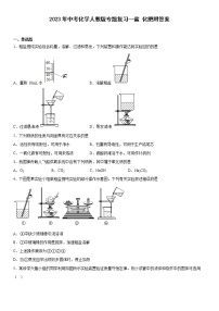 2023年中考化学专题复习---盐  化肥附答案