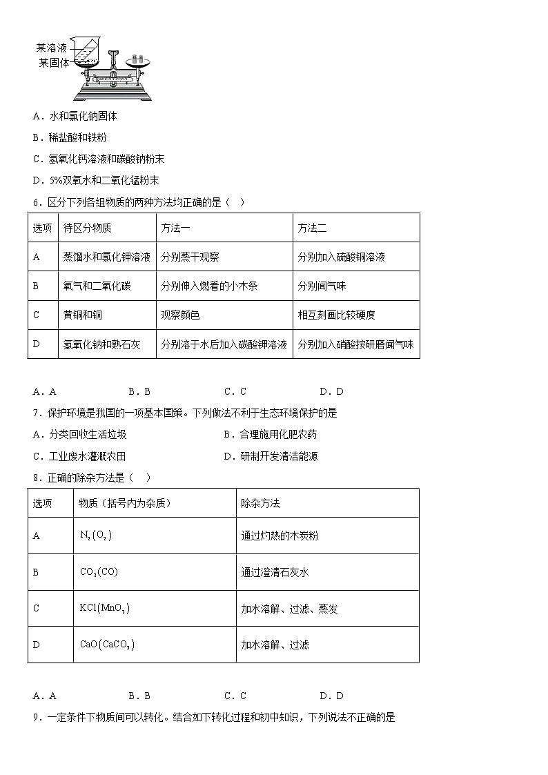 2023年中考化学专题复习---盐  化肥附答案第2页