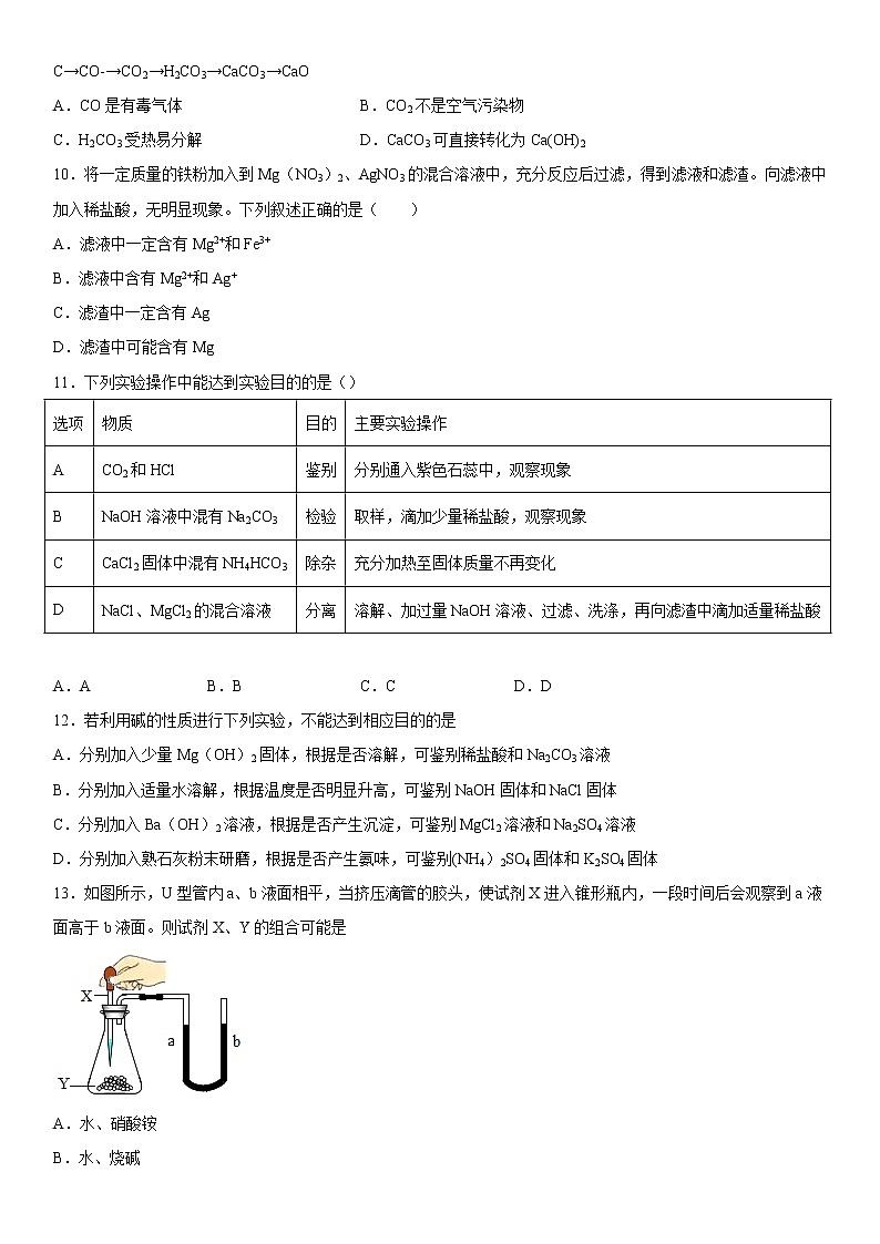 2023年中考化学专题复习---盐  化肥附答案第3页