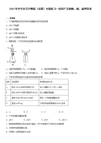 2023年中考化学专题复习--应用广泛的酸、碱、盐附答案