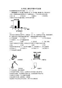 湖南省邵阳市隆回县2022-2023学年九年级上学期期中化学试题（有答案）