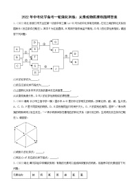 2022年中考化学备考一轮强化训练：元素或物质推断题附答案