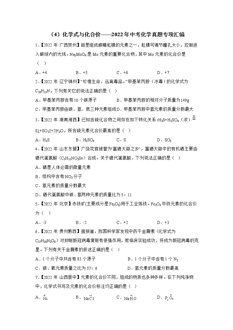 （4）化学式与化合价——2022年中考化学真题专项汇编第1页
