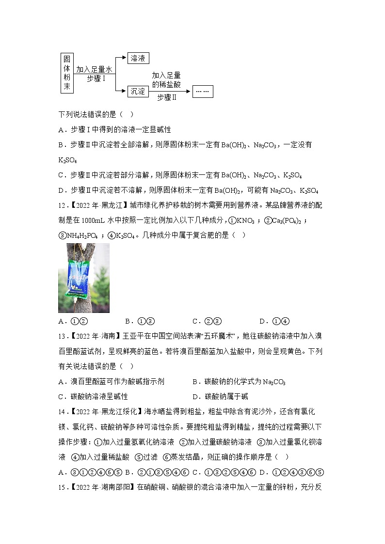 （13）盐和化肥——2022年中考化学真题专项汇编第3页