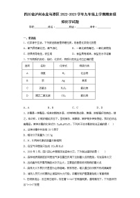 四川省泸州市龙马潭区2022-2023学年九年级上学期期末模拟化学试题(含答案)