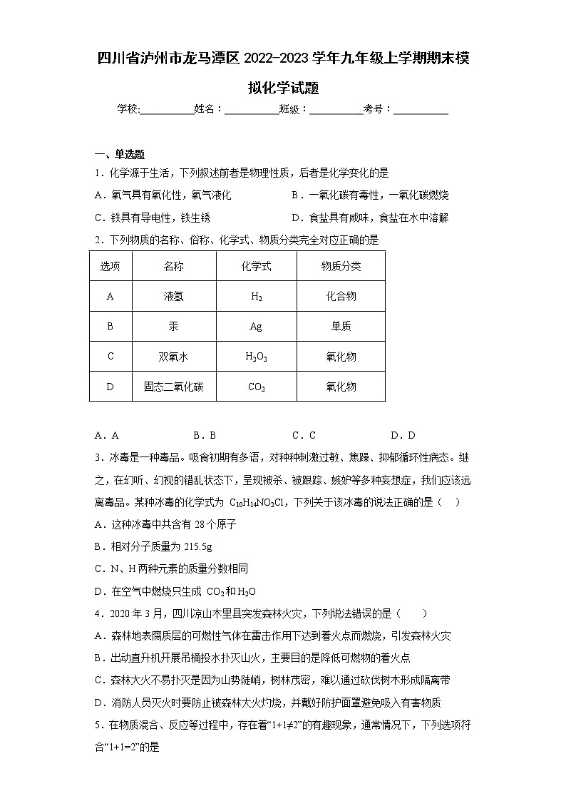 四川省泸州市龙马潭区2022-2023学年九年级上学期期末模拟化学试题(含答案)第1页