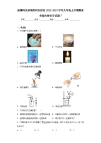 新疆阿克苏地区阿瓦提县2022-2023学年九年级上学期期末命题大赛化学试题7(含答案)