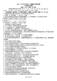 山东省青岛市第三十九中学2022-2023学年九年级上学期期末化学试题