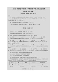 山东省青岛市市南区2022-2023学年九年级上学期期末化学试题