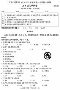 北京市朝阳区2022-2023学年上学期九年级期末化学试题