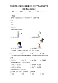 湖北省黄石市阳新县北部联盟2022-2023学年九年级上学期期末模拟化学试题三 (含答案)