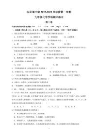 天津市汉阳道中学+2022-2023+学年九年级上学期期末练习+化学试卷