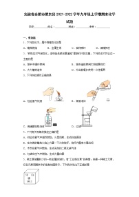 安徽省合肥市肥东县2021-2022学年九年级上学期期末化学试题(含答案)