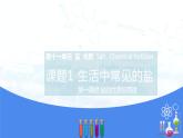 11.1生活中常见的盐(课件)- 九年级化学下册同步精品课堂(人教版)