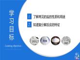 11.1生活中常见的盐(课件)- 九年级化学下册同步精品课堂(人教版)