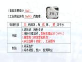 11.1生活中常见的盐(课件)- 九年级化学下册同步精品课堂(人教版)