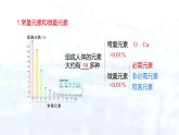 12.2化学元素与人体健康(课件)- 九年级化学下册同步精品课堂(人教版)