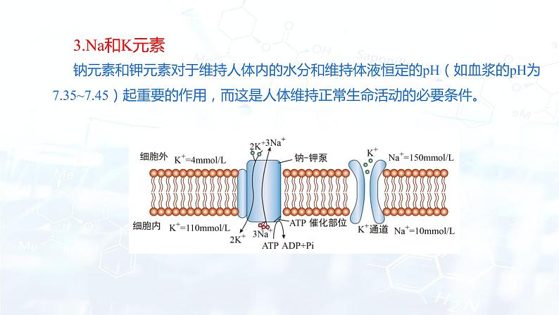 12.2化学元素与人体健康(课件)- 九年级化学下册同步精品课堂(人教版)07