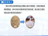 实验活动8粗盐中难溶性杂质的去除（课件）- 九年级化学下册同步精品课堂(人教版)