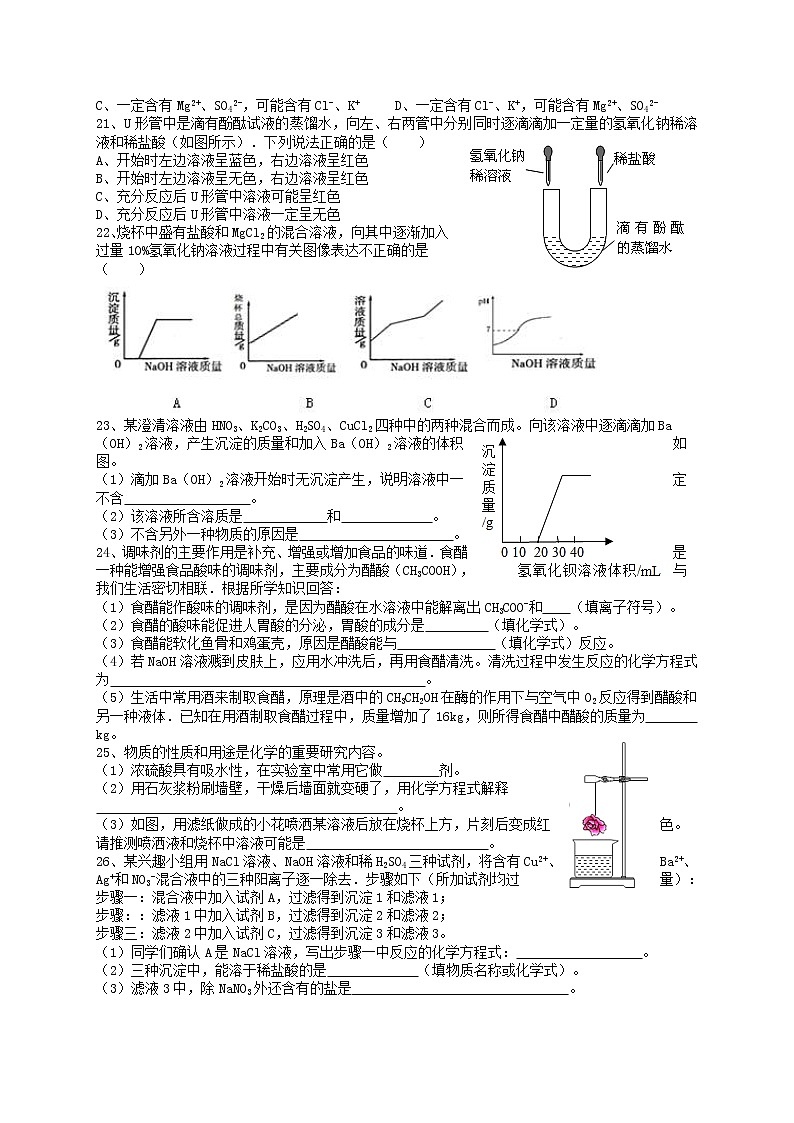 第十讲 酸和碱——浙江省中考化学第3页