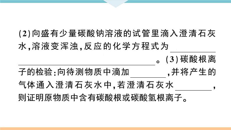 初三九年级化学下册江西同步练习4十一单元盐化肥1课题1生活中常见的盐1课时课件PPT第5页