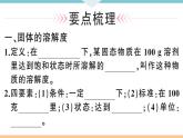初三九年级化学下册河南同步练习2九单元溶液2２课时溶解度课件PPT
