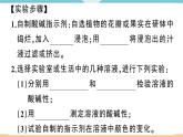 初三九年级化学下册江西同步练习3十单元酸和碱10实验活动7溶液酸碱性的检验课件PPT