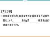 初三九年级化学下册河南同步练习3十单元酸和碱5实验活动７溶液酸碱性的检验课件PPT