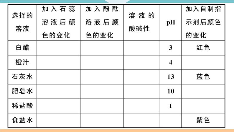 初三九年级化学下册河南同步练习3十单元酸和碱5实验活动７溶液酸碱性的检验课件PPT06