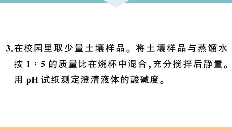 初三九年级化学下册河南同步练习3十单元酸和碱5实验活动７溶液酸碱性的检验课件PPT07