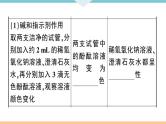 初三九年级化学下册河南同步练习4十一单元盐化肥4实验活动８粗盐中难溶性杂质的去除课件PPT