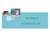 初三九年级化学下册河南同步练习5十二单元化学与生活4专题七物质的分类课件PPT
