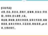 初三九年级化学下册河南同步练习3十单元酸和碱4实验活动６酸碱的化学性质课件PPT