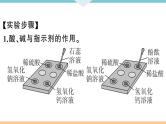初三九年级化学下册河南同步练习3十单元酸和碱4实验活动６酸碱的化学性质课件PPT
