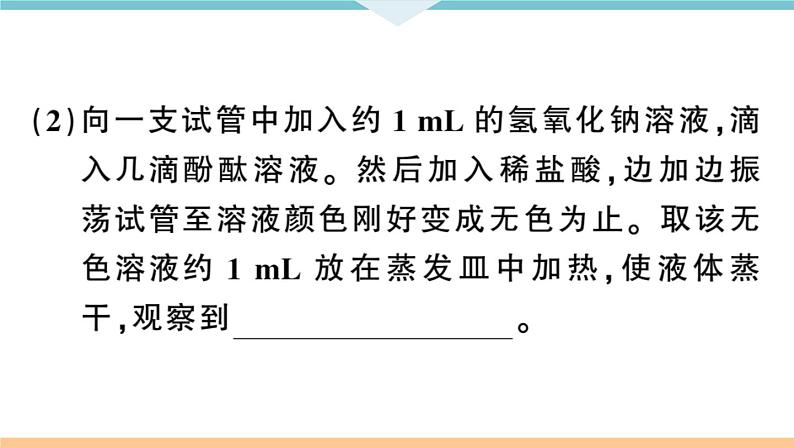 初三九年级化学下册河南同步练习3十单元酸和碱4实验活动６酸碱的化学性质课件PPT08