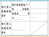 初三九年级化学下册河南同步练习1八单元金属和金属材料2课时金属活动性顺序课件PPT