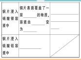 初三九年级化学下册河南同步练习1八单元金属和金属材料2课时金属活动性顺序课件PPT