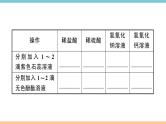 初三九年级化学下册江西同步练习3十单元酸和碱9实验活动6酸碱的化学性质课件PPT